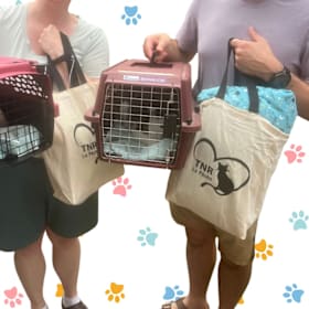 Photo of Tote bag // Sac d’épicerie