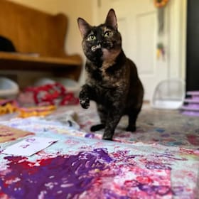 Photo of 4x6” Original Paw Painting