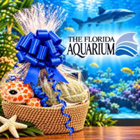 Photo of Florida Aquarium: 4 Tickets & Gift Basket