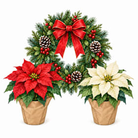Photo of Holiday bundle