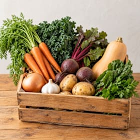 Photo : Petit panier de légumes bio assortis (offre de lancement)