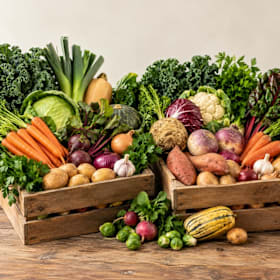 Photo : Grand panier de légumes bio assortis (offre de lancement)