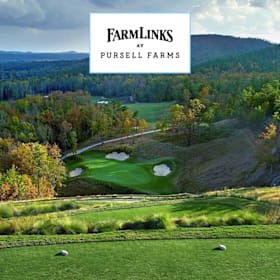 Photo of Golf Foursome @ Farm Links / Pursell Farms - AL