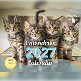 Photo of 2027 Calendar // Calendrier 2027