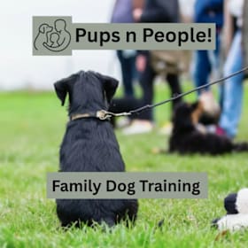 Photo of Family Dog Training Gift Certificate