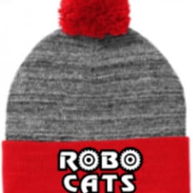 Photo of RoboCat Beanie