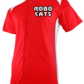 Photo of 379 Baseball Jersey