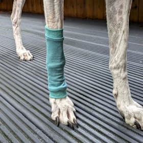 Photo of Blas & Co Seal Leg Warmers