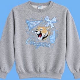Photo of Gray Embroidered Sweatshirt
