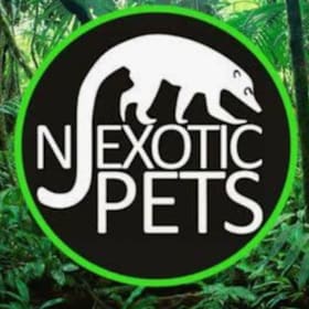 Photo of NJ Exotic Pets 4 Creature Feature Tickets and $50 Gift Cards