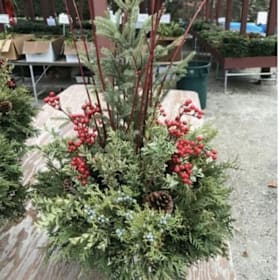 Photo of 10” Evergreen Porch Pot
