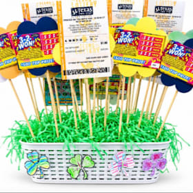 Photo of 2nd Grade Mrs. Thomson's Lotto Garden #2
