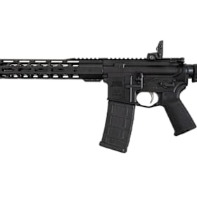 Photo of Palmetto State Armory AR-15