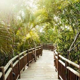 Photo of 7-night stay for up to four guests at Vidanta Mayan Palac