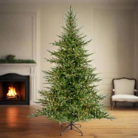 Photo of Beautifully Lit Christmas Tree