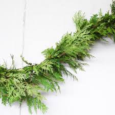 Photo of 15' Cedar Garland