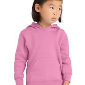 Photo of Toddler Hooded Sweatshirt