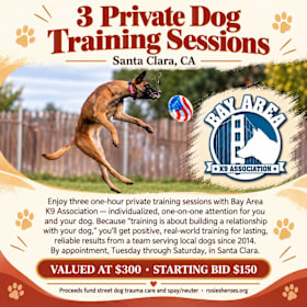 Photo of 3 Private Dog Training Sessions