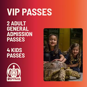 Photo of Family Fun Pack