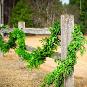 Photo of 15' Garland