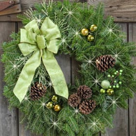 Photo of Wintergreen 25"