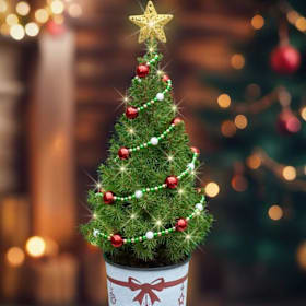 Photo of Table Top Tree