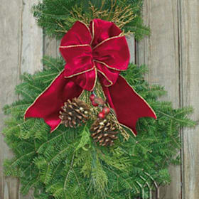 Photo of Cranberry Spray