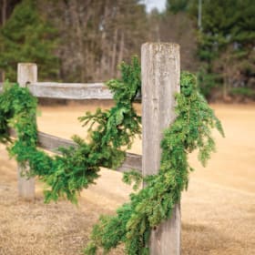 Photo of 50' Garland