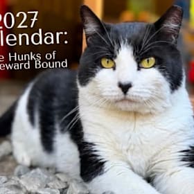 Photo of Hunks of Homeward Bound Calendar