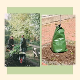Photo of Help in the Garden