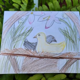 Photo of Set of four notecards by Elementary Student
