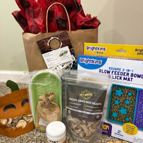 Photo of Pet Wants Basket