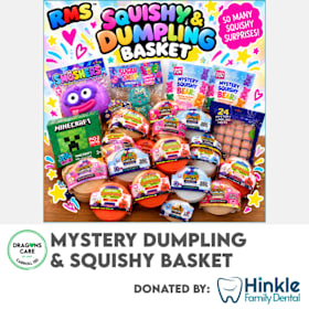 Photo of Mystery Dumpling & Squishy Collection