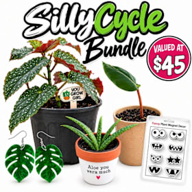 Photo of SillyCycle Plant Bundle