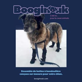 Photo : Ensemble de bottes à bandoulière pour chien sur mesure