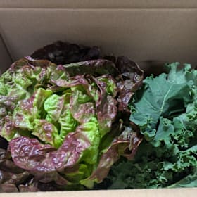 Photo of Donate a Harvest Box to Reynolds Secondary