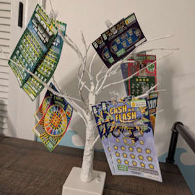 Photo of Lotto Tree