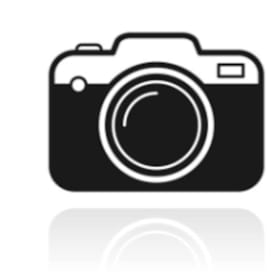 Photo of Picture Perfect Photo Booth Sponsor