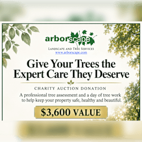 Photo of Give Your Trees the VIP Treatment with Arborscape!