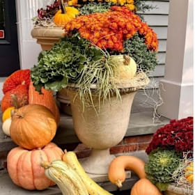 Photo of Let Your Garden Dreams Bloom!