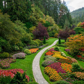 Photo of 2 Day Passes to Butchart Gardens