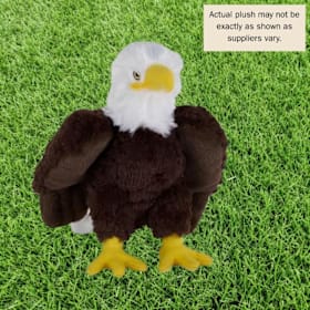 Photo of Bald Eagle With Plush