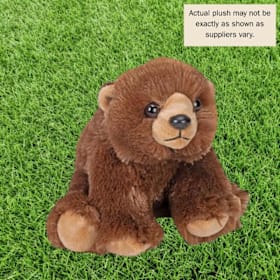 Photo of Brown (Grizzly) Bear  With Plush