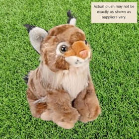 Photo of Canada Lynx  With Plush