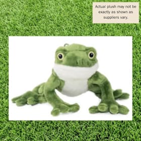 Photo of Poison Dart Frog With Plush