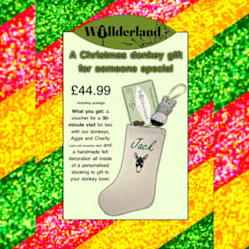 Photo of Willderland Christmas Donkey Experience