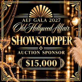 Photo of Showstopper Auction Sponsor