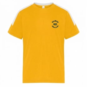 Photo of YOUTH MJS Athletic T-shirt (Gold/white)