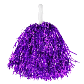 Photo of Purple Pom-Pom
