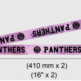 Photo of MDJH Lanyard